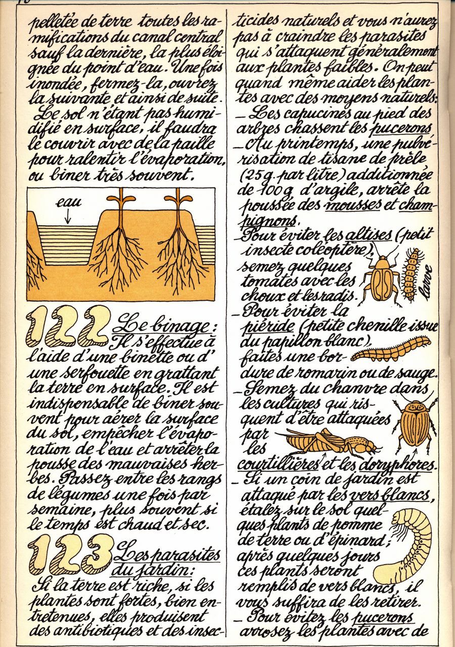 122 - le binage - 123 - les parasites du jardin