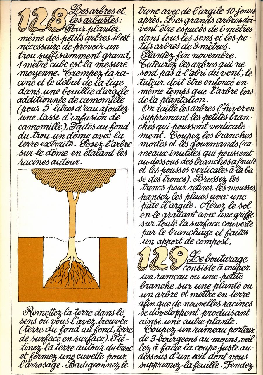 128 - les arbres et les arbustes - 129 - le bouturage