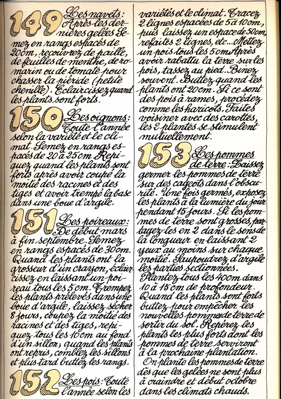 149 - les navets - 150 - les oignons - 151 - les poireaux - 152 - les pois - 153 - les pommes de terre