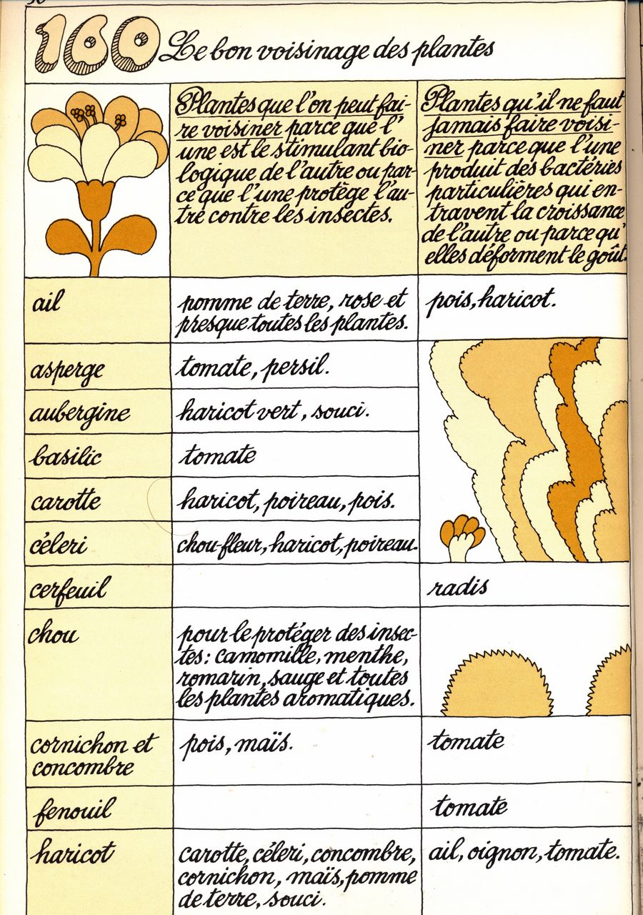 160 - le bon voisinage des plantes