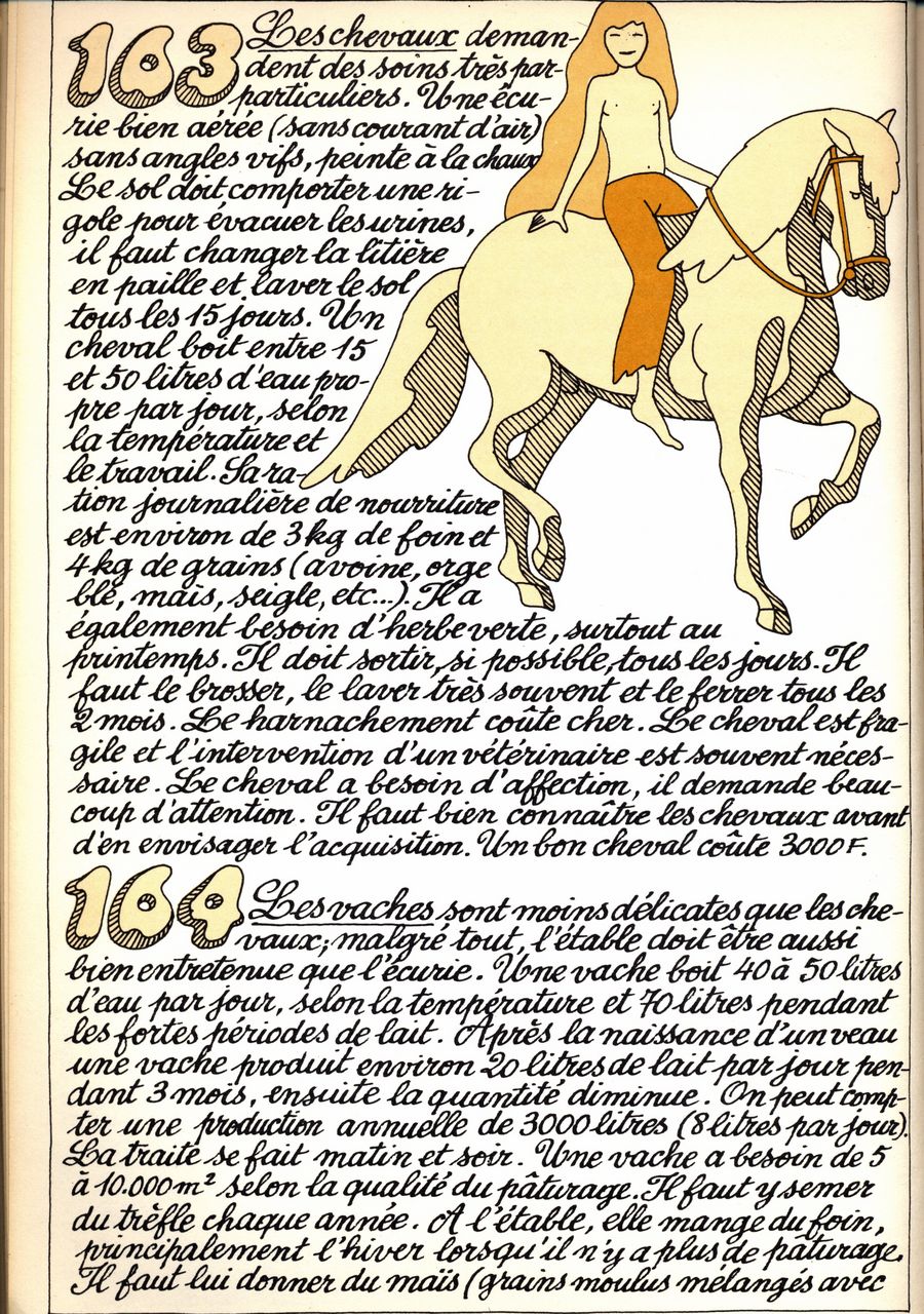 163 - les chevaux - 164 - les vaches